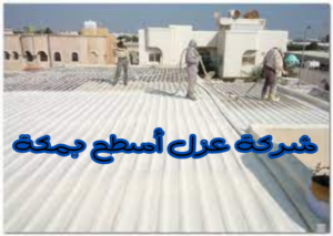 شركة عزل أسطح بمكة