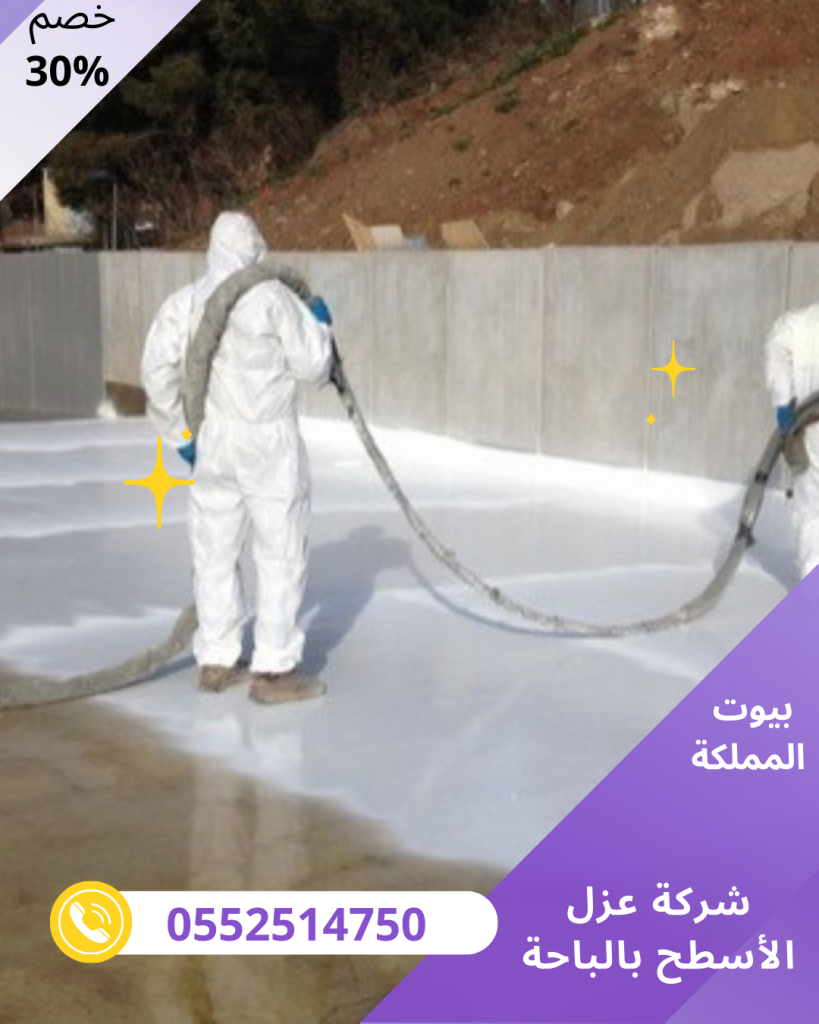 شركة مقاولات عامة بالمنصورة 2 2