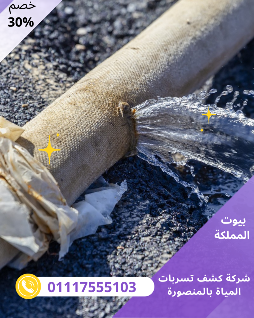 شركة كشف تسربات المياة بالمنصورة